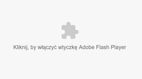 Przyklad adobe flash error